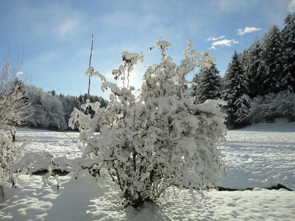 Klieber - Urlaub Am Biobauernhof Villa Милщат Екстериор снимка