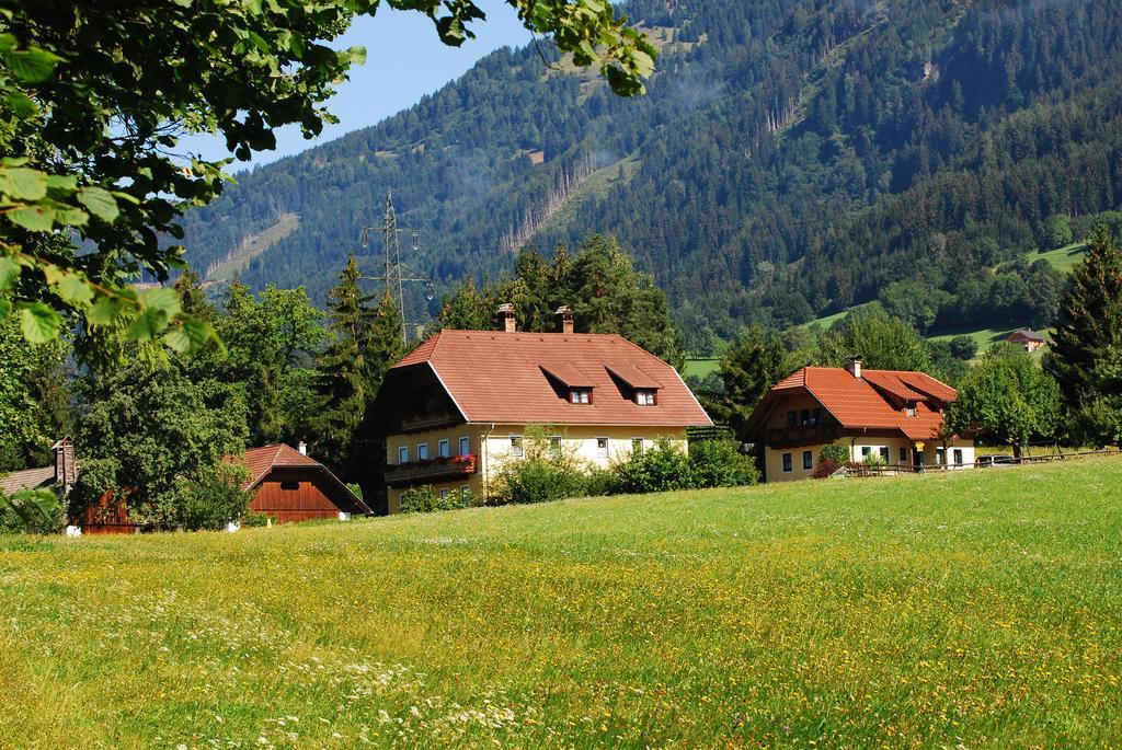 Klieber - Urlaub Am Biobauernhof Villa Милщат Екстериор снимка